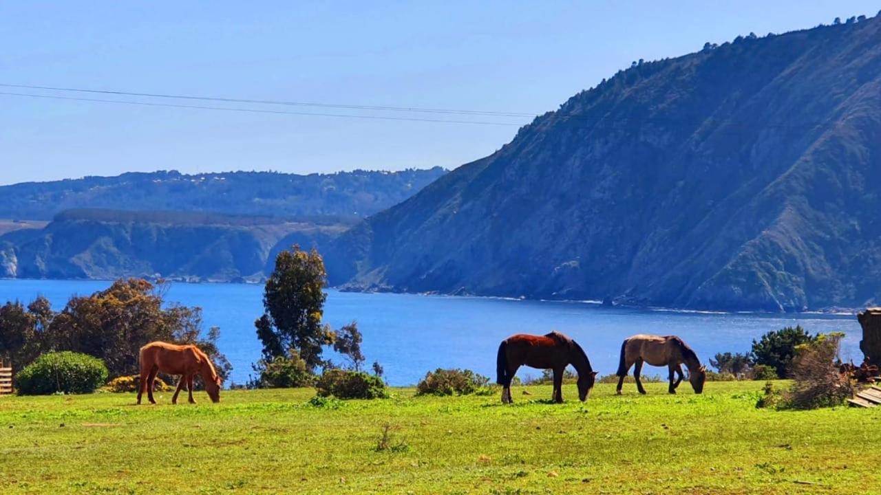 Cabana En Tunquen Con Parrilla, Fogon, Piscina Y Bosque Zewnętrze zdjęcie