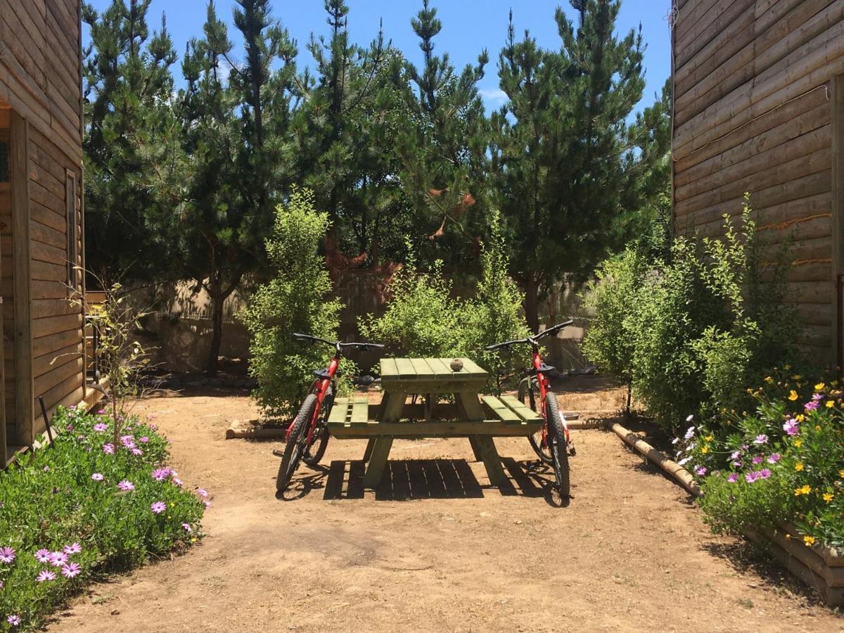 Cabana En Tunquen Con Parrilla, Fogon, Piscina Y Bosque Zewnętrze zdjęcie