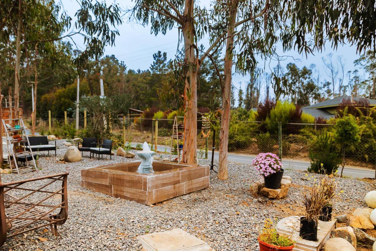 Cabana En Tunquen Con Parrilla, Fogon, Piscina Y Bosque Zewnętrze zdjęcie